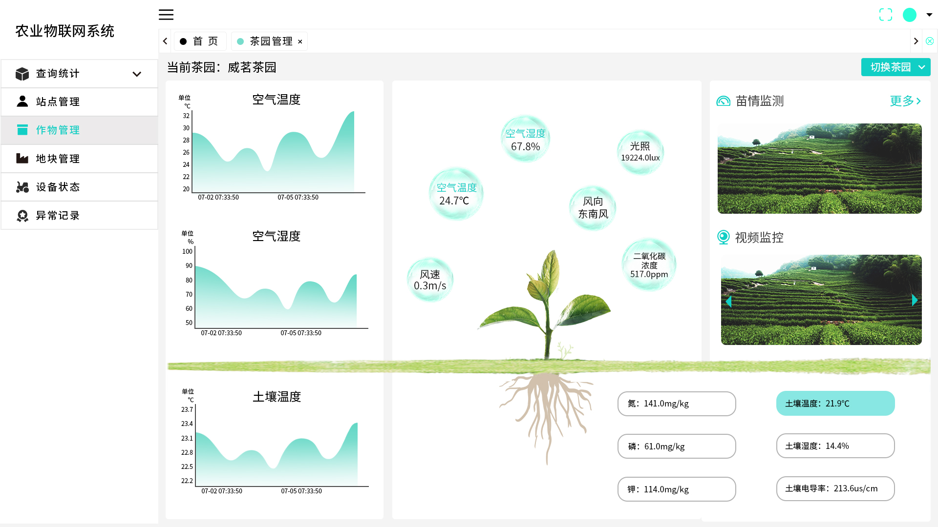 山东省茶产业技术体系数字茶园