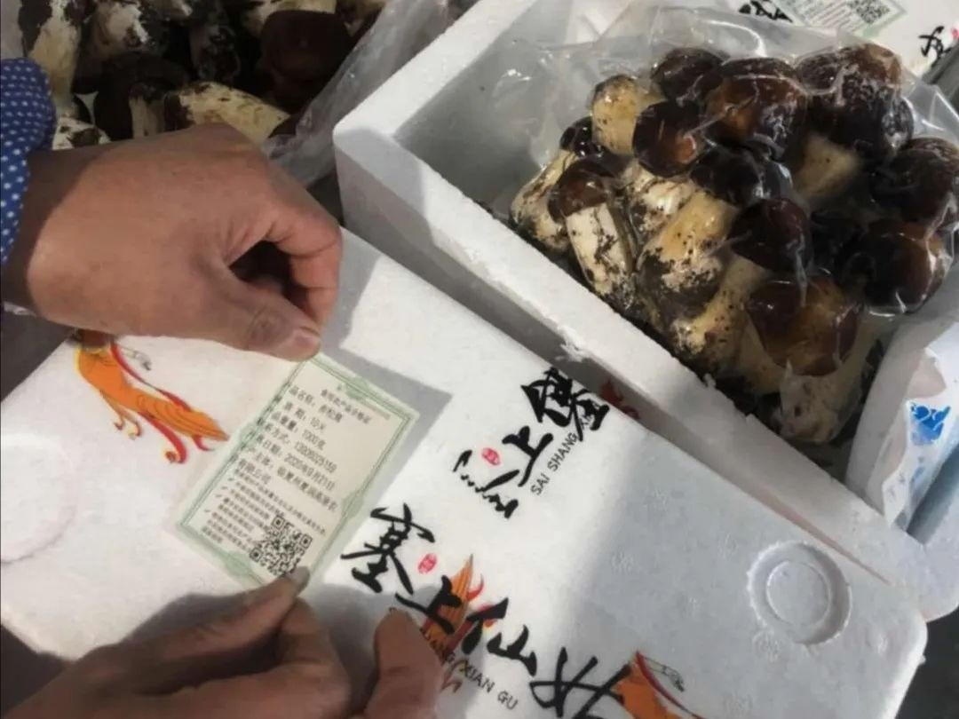 溯质食用农产品合格证 | 助力临夏脱贫致富
