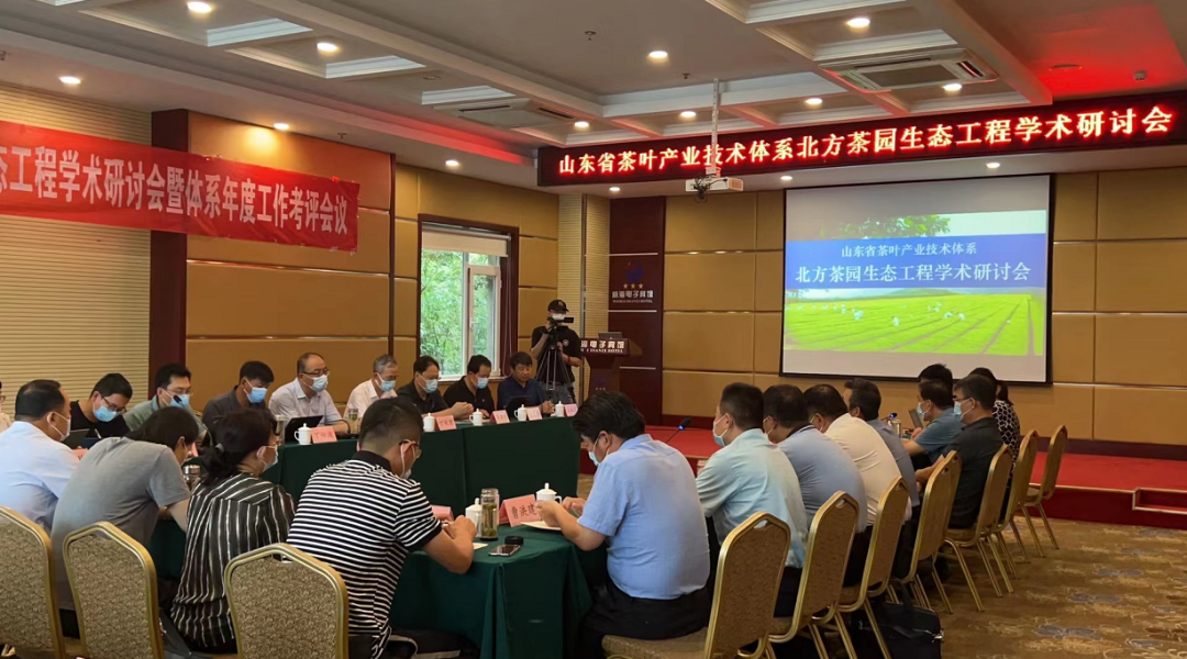 北方生态茶园工程学术研讨会在威召开，数字技术助力山东茶产业高质量发展(图1)